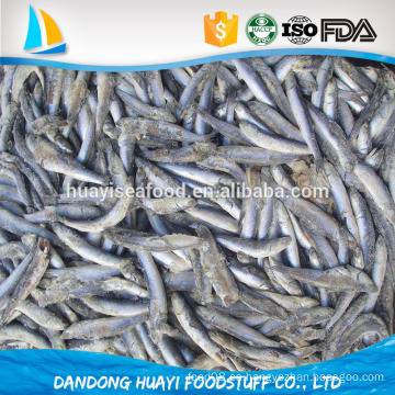 Seafrozen nueva producción bqf anchoa